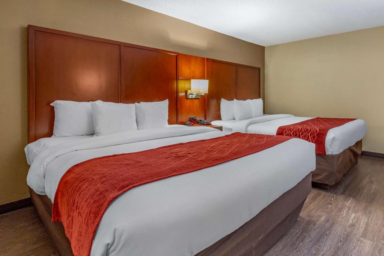 Comfort Inn Fort Mill Amusement Park At Carowinds Blvd Eksteriør bilde
